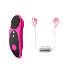 Lovense Ferri and Gemini Bundle